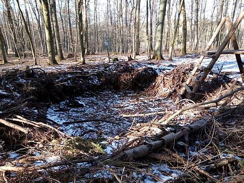 Vogelnest im Walderlebnispfad Höhr-Grenzhausen vorbereitet für die Riesen-Eier von Steuler