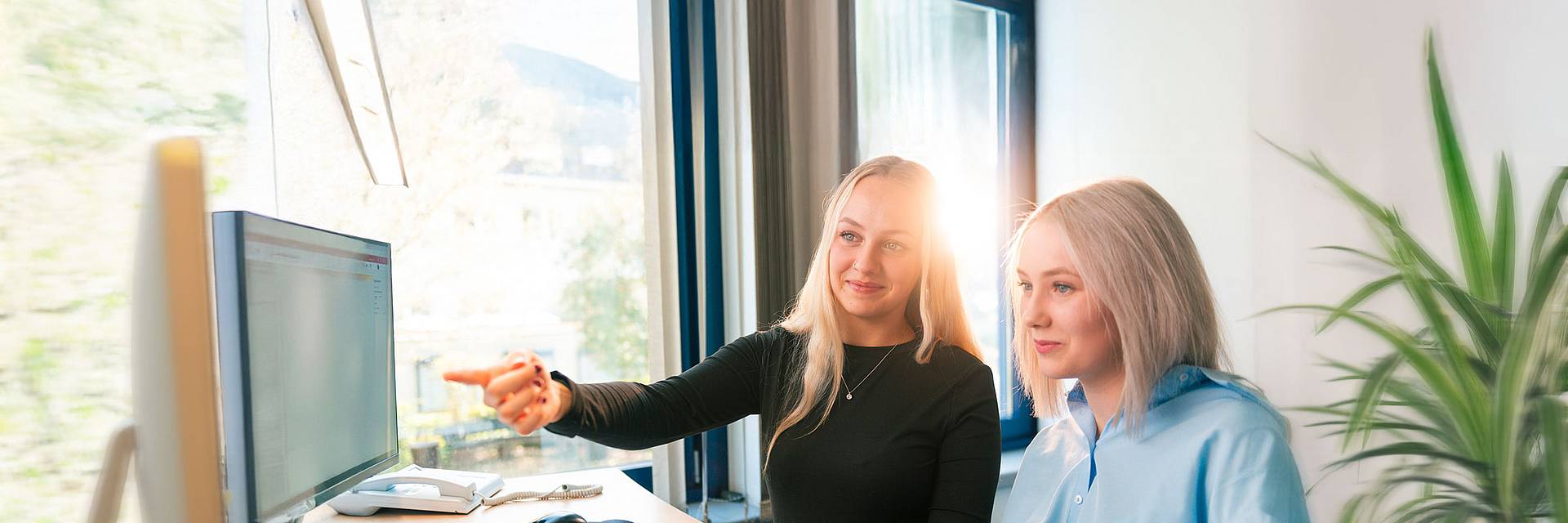 Ausbildung bei der Steuler-Gruppe: Duale Studiengänge